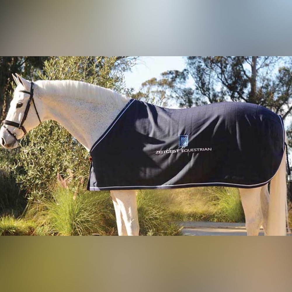 Equitex Custom Wool Horse Show Dress Sheet Cooler, Grey with Black & Purple, New